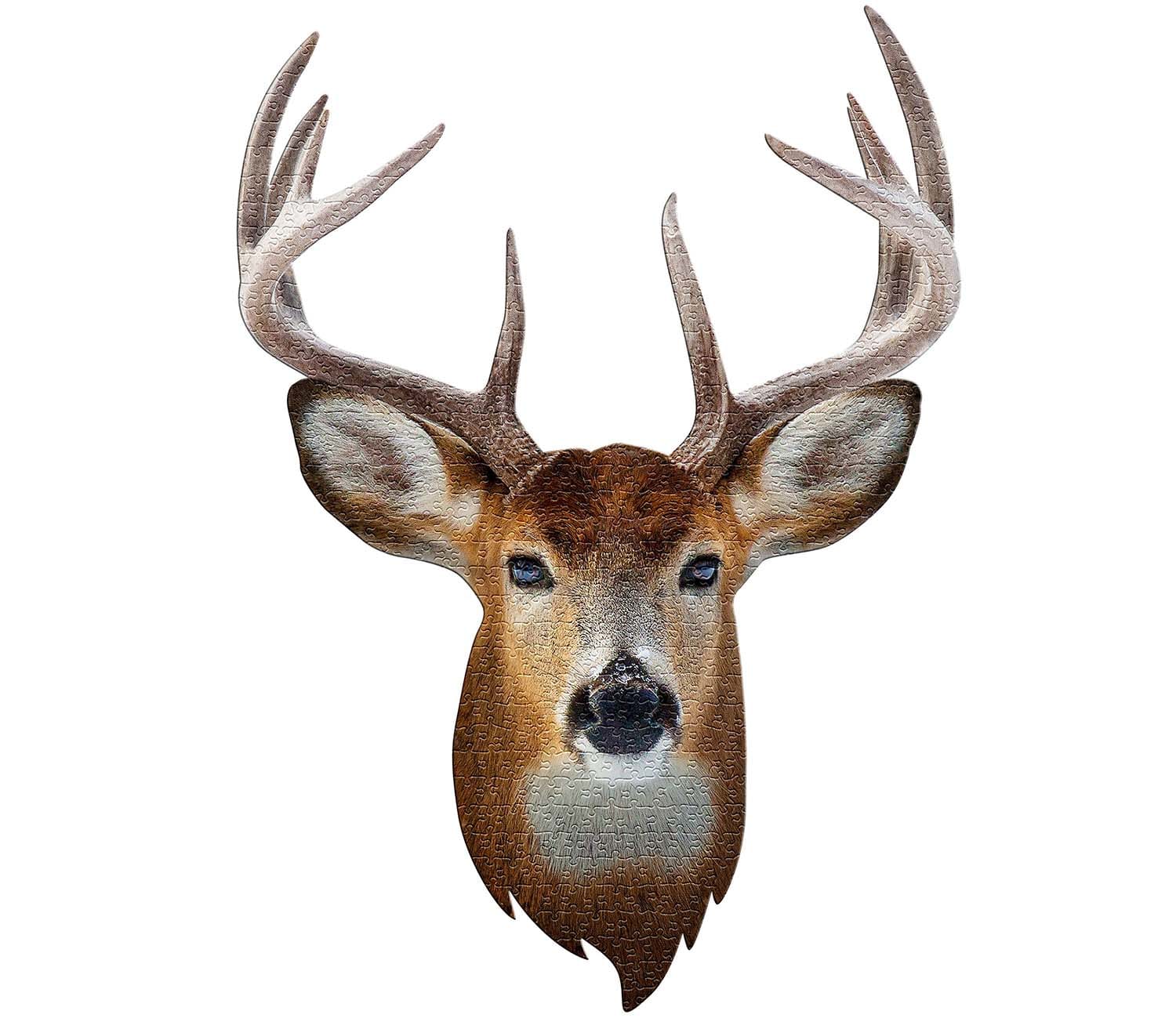 I Am Buck Forest Animal