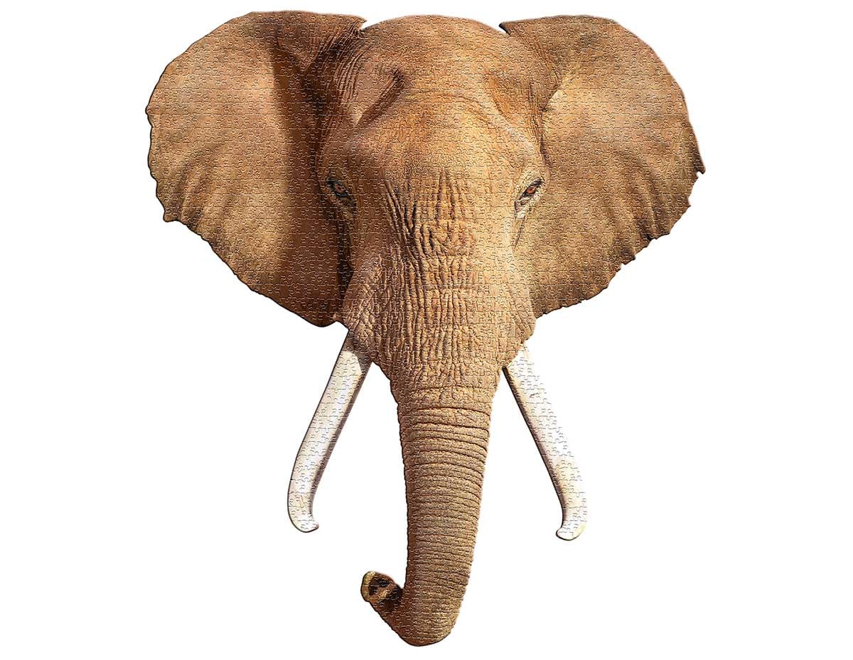 I AM ELEPHANT Elephant