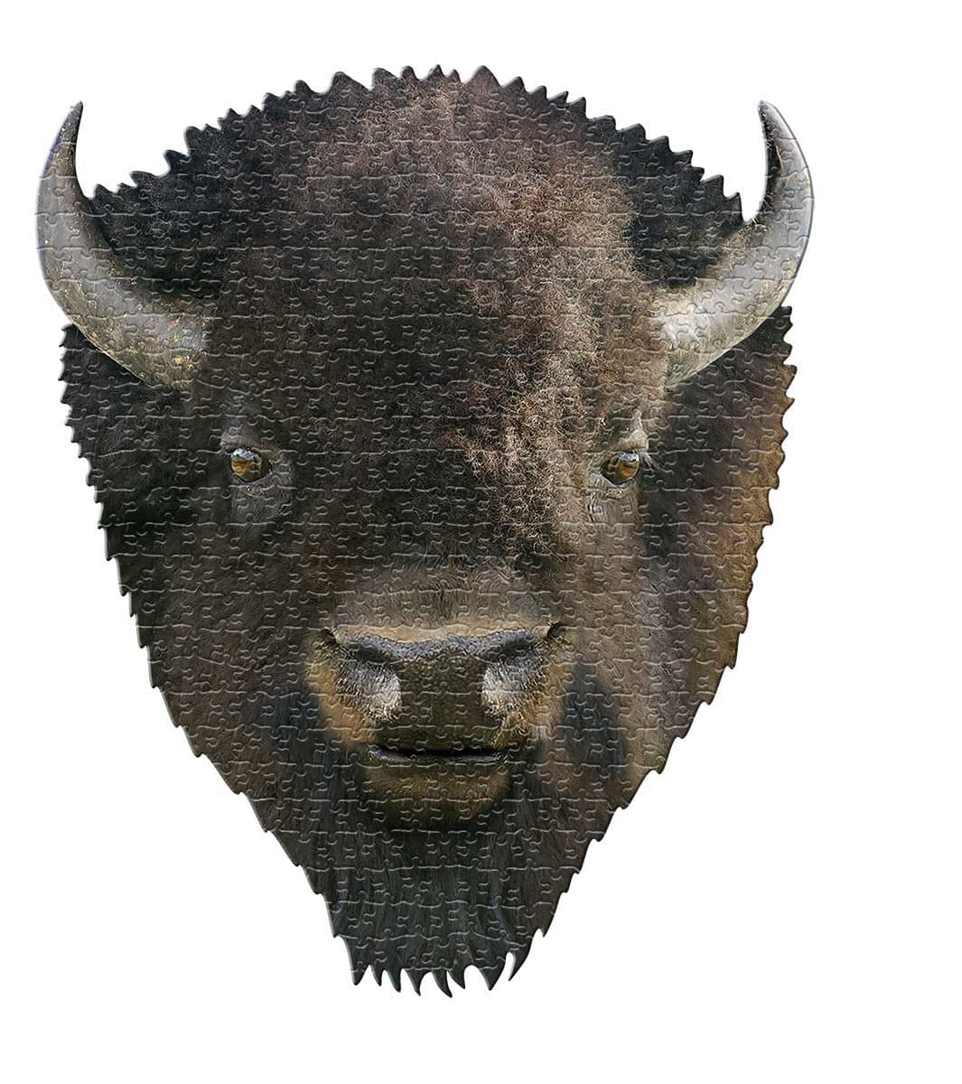 I Am Bison Animals