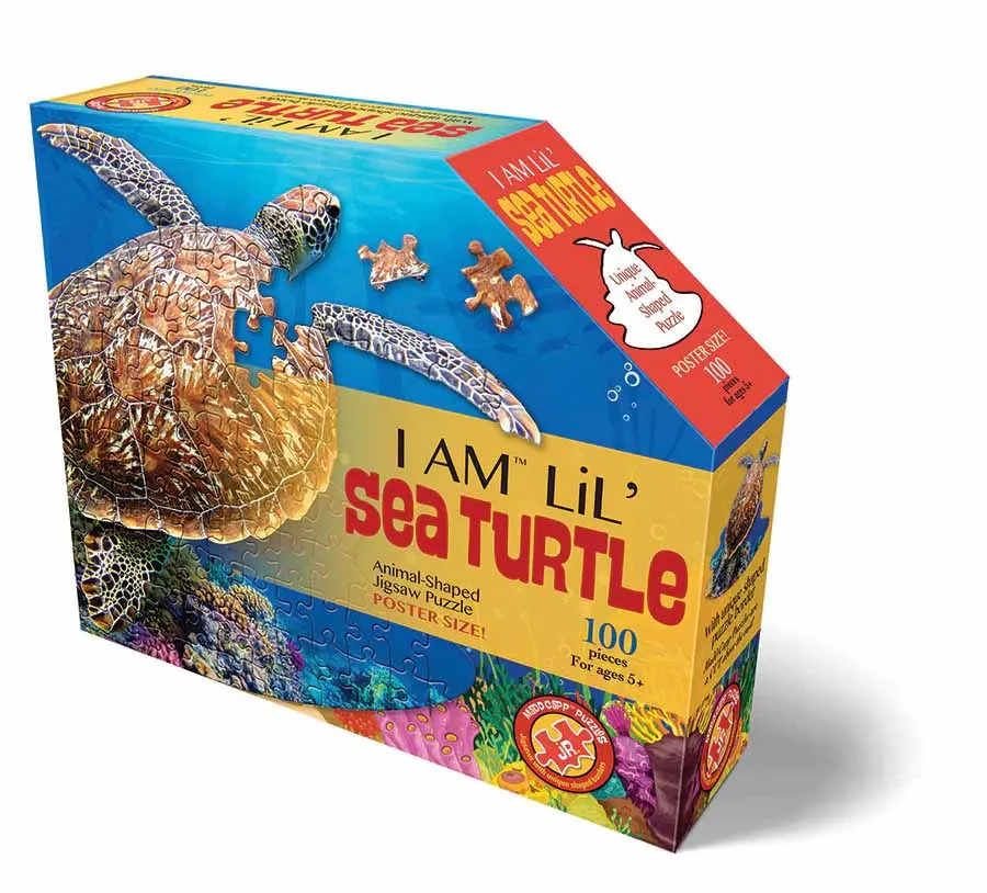 I Am Lil' Sea Turtle