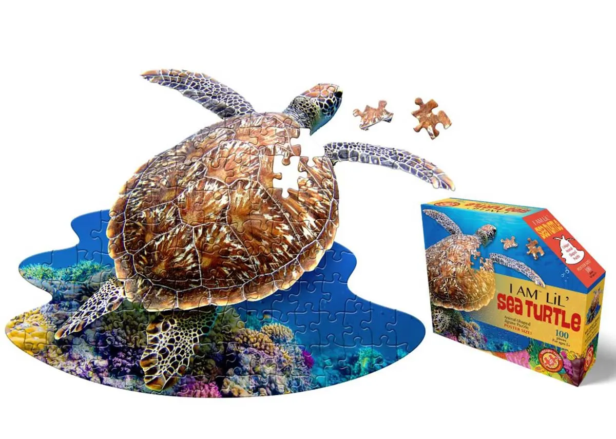 I Am Lil' Sea Turtle - Scratch and Dent Animals