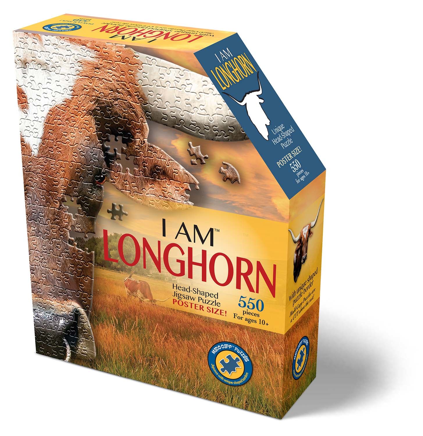 I Am Longhorn