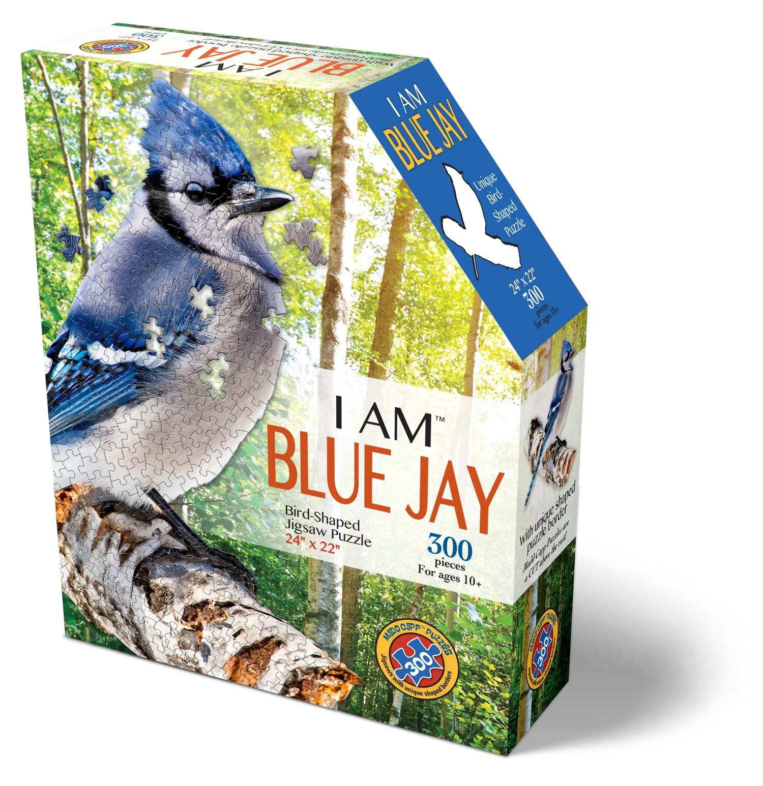 I Am Blue Jay