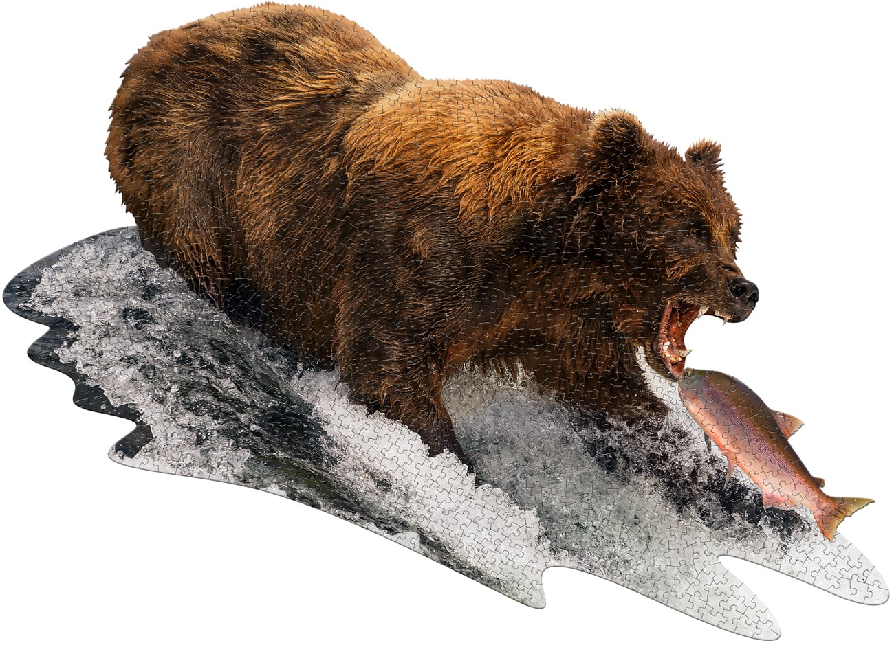 I Am Grizz - Scratch and Dent Bear