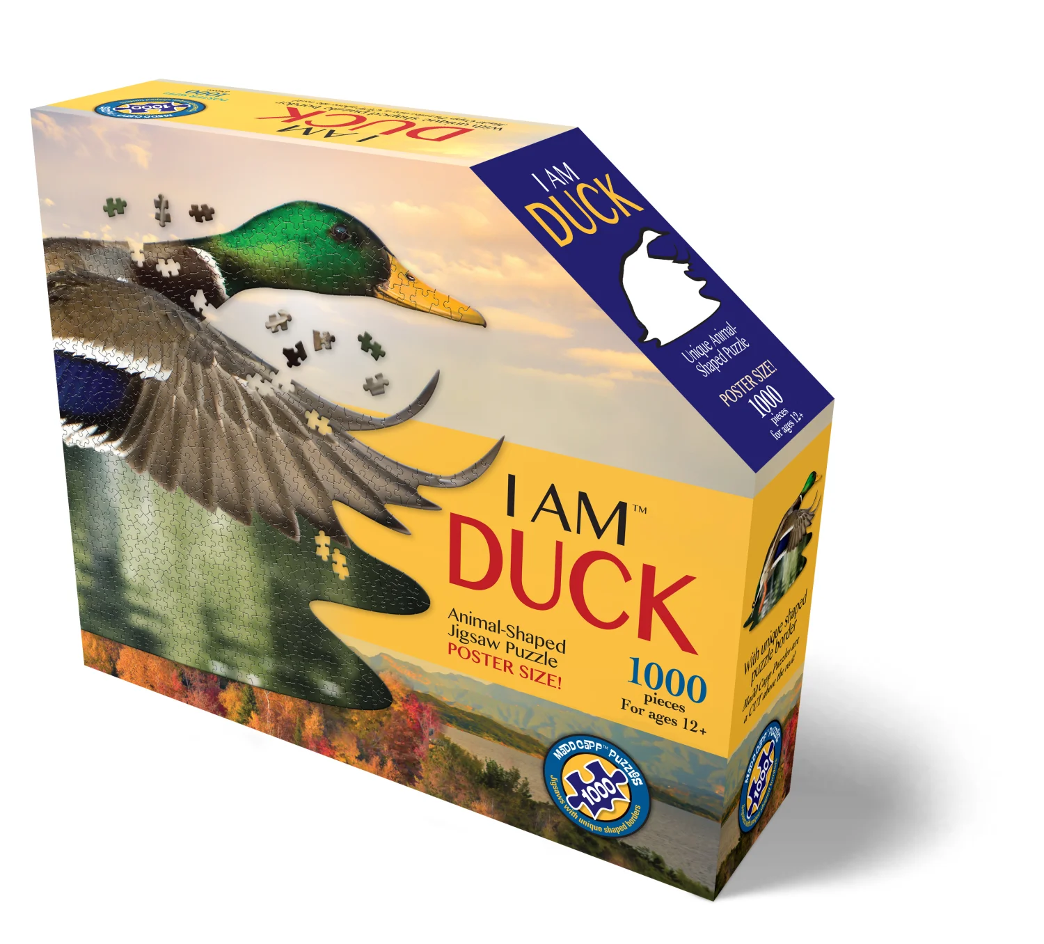 I Am Duck - Scratch and Dent