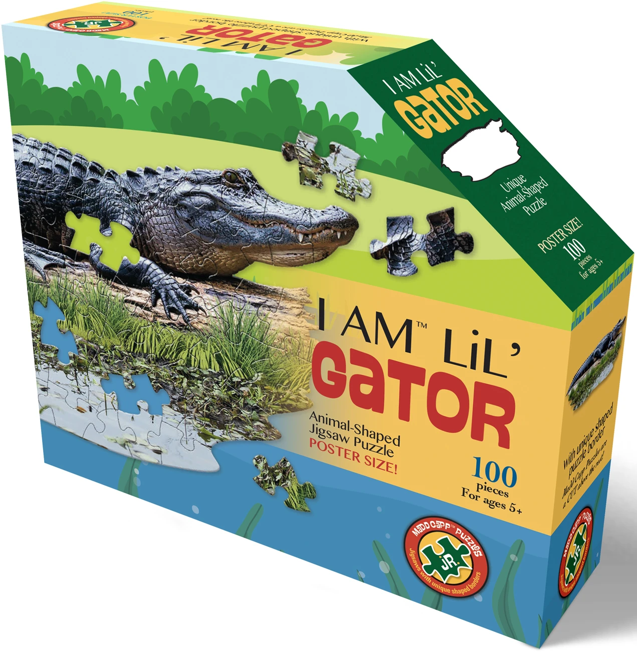 I Am Lil' Gator - Scratch and Dent