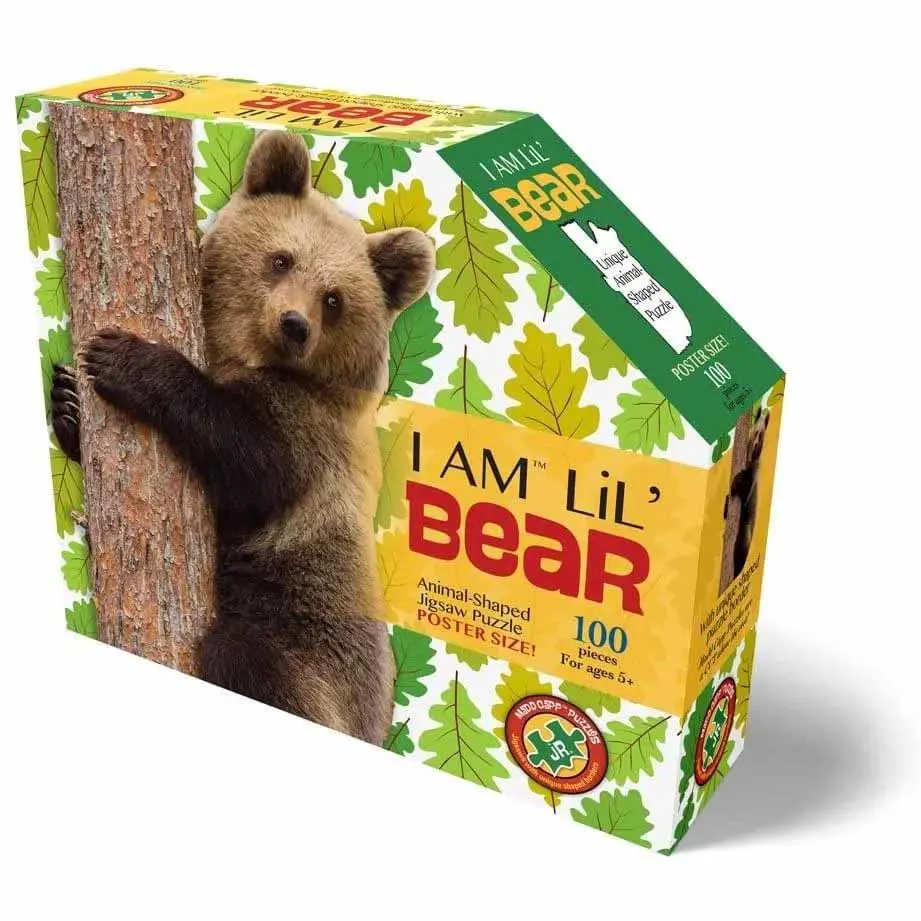I Am Lil' Bear Bear