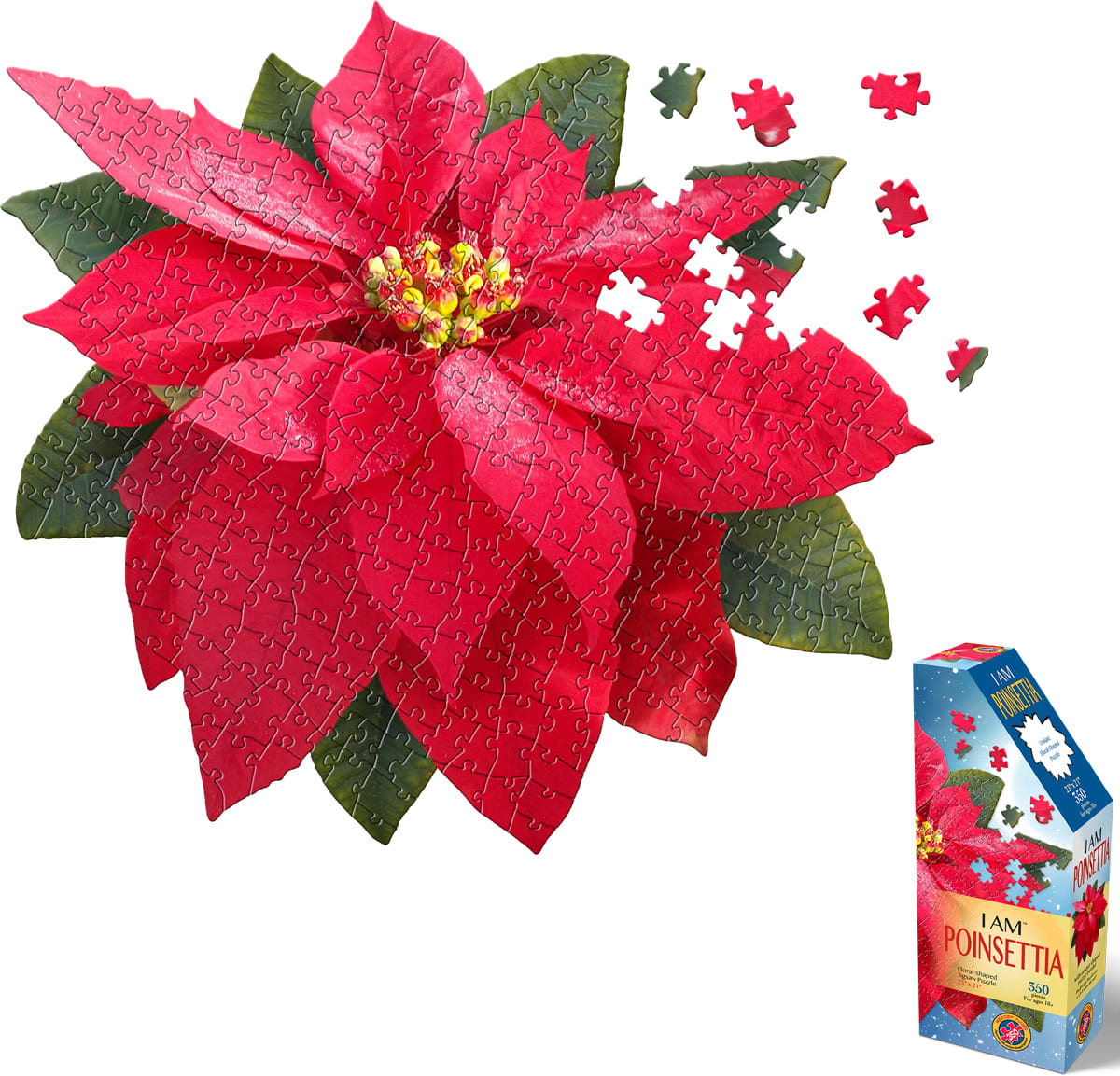 I Am Poinsettia Flower & Garden