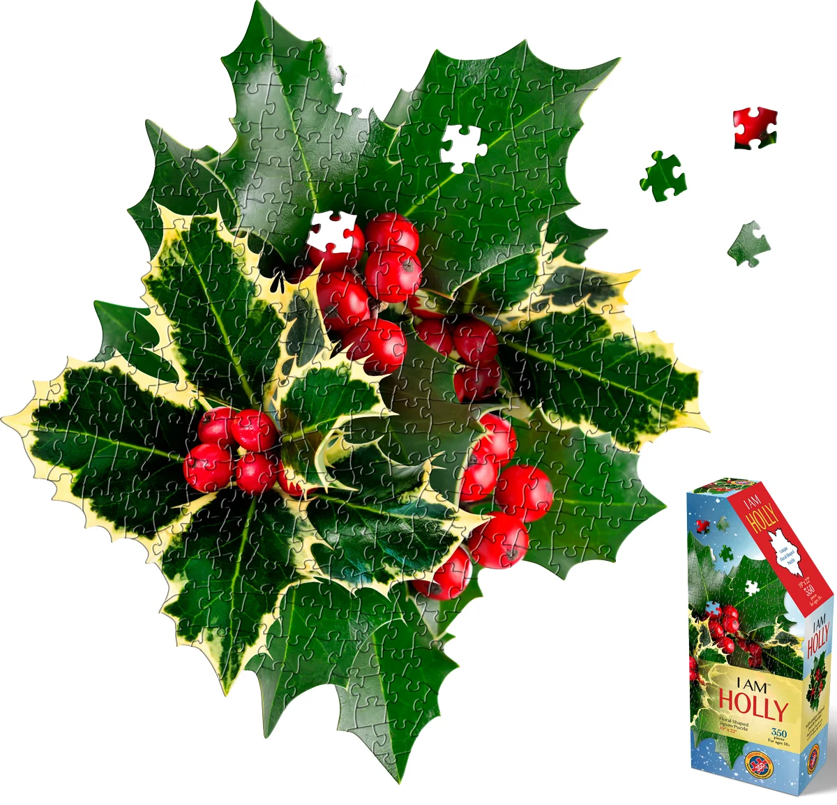 I AM HOLLY Flower & Garden