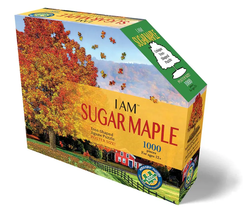 I AM SUGAR MAPLE Fall