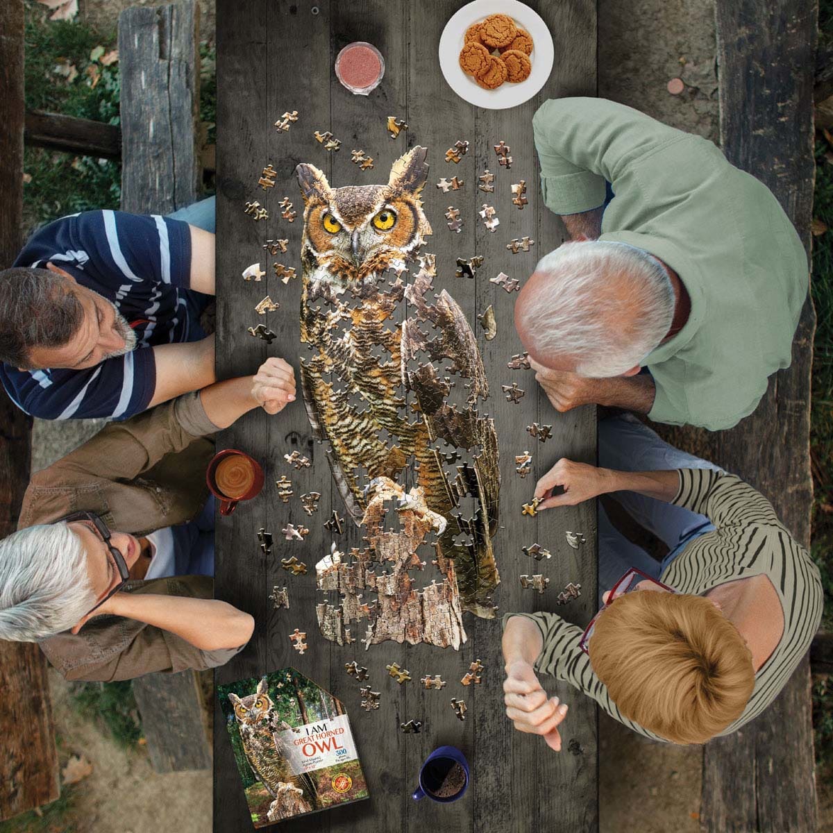 I AM GREAT HORNED OWL