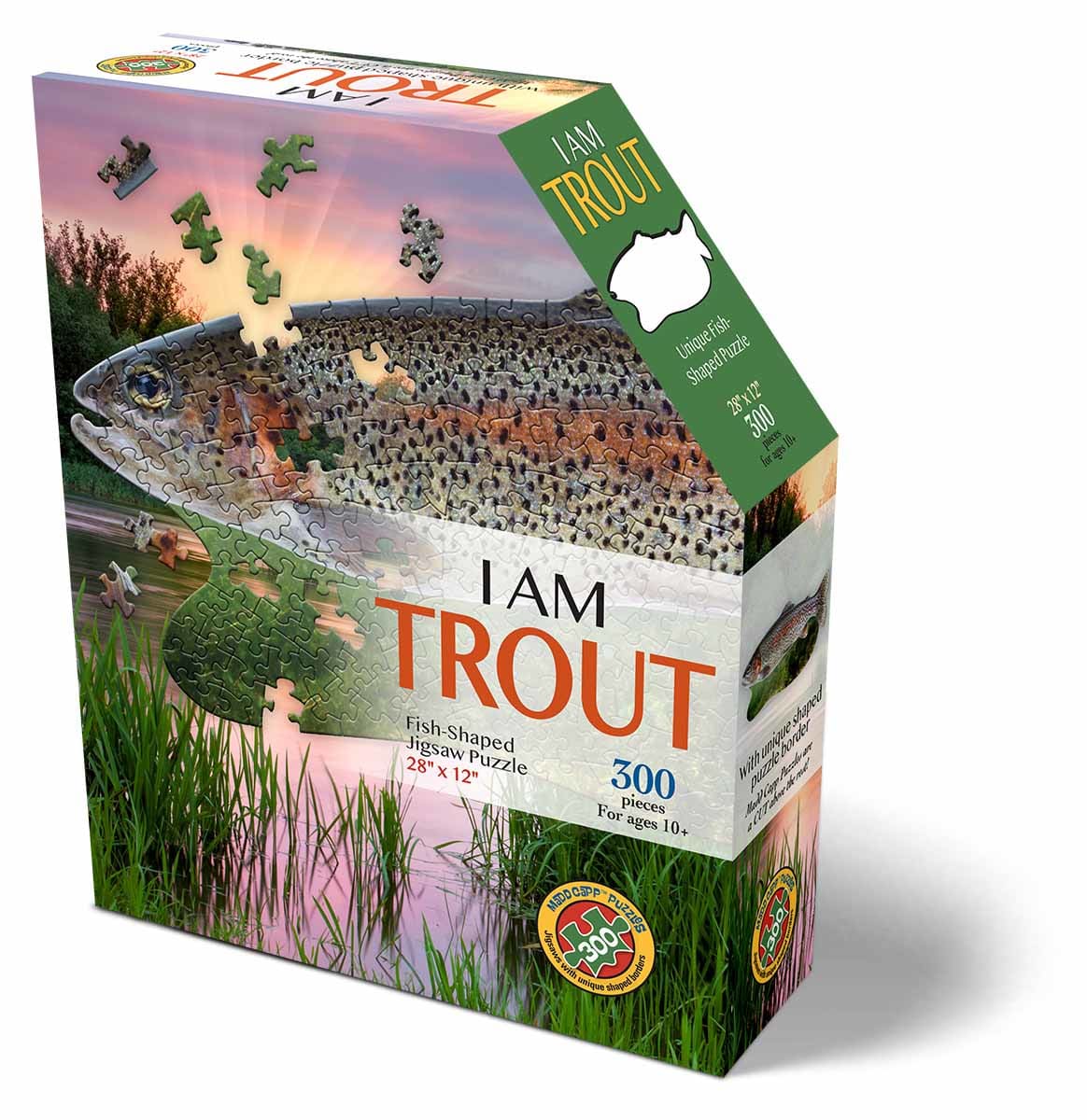 I AM TROUT Fish
