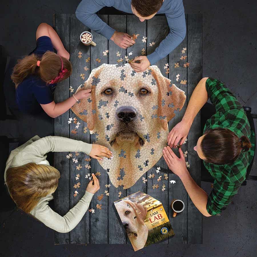 I AM LAB - Scratch and Dent