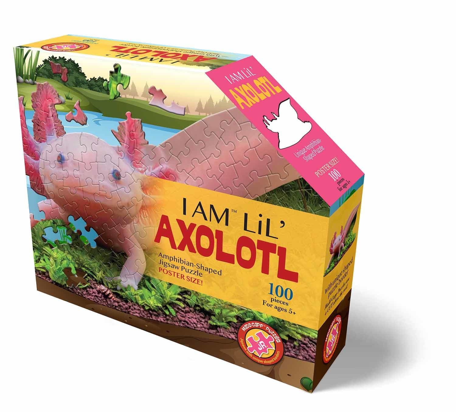 I AM LiL&rsquo; AXOLOTL Animals