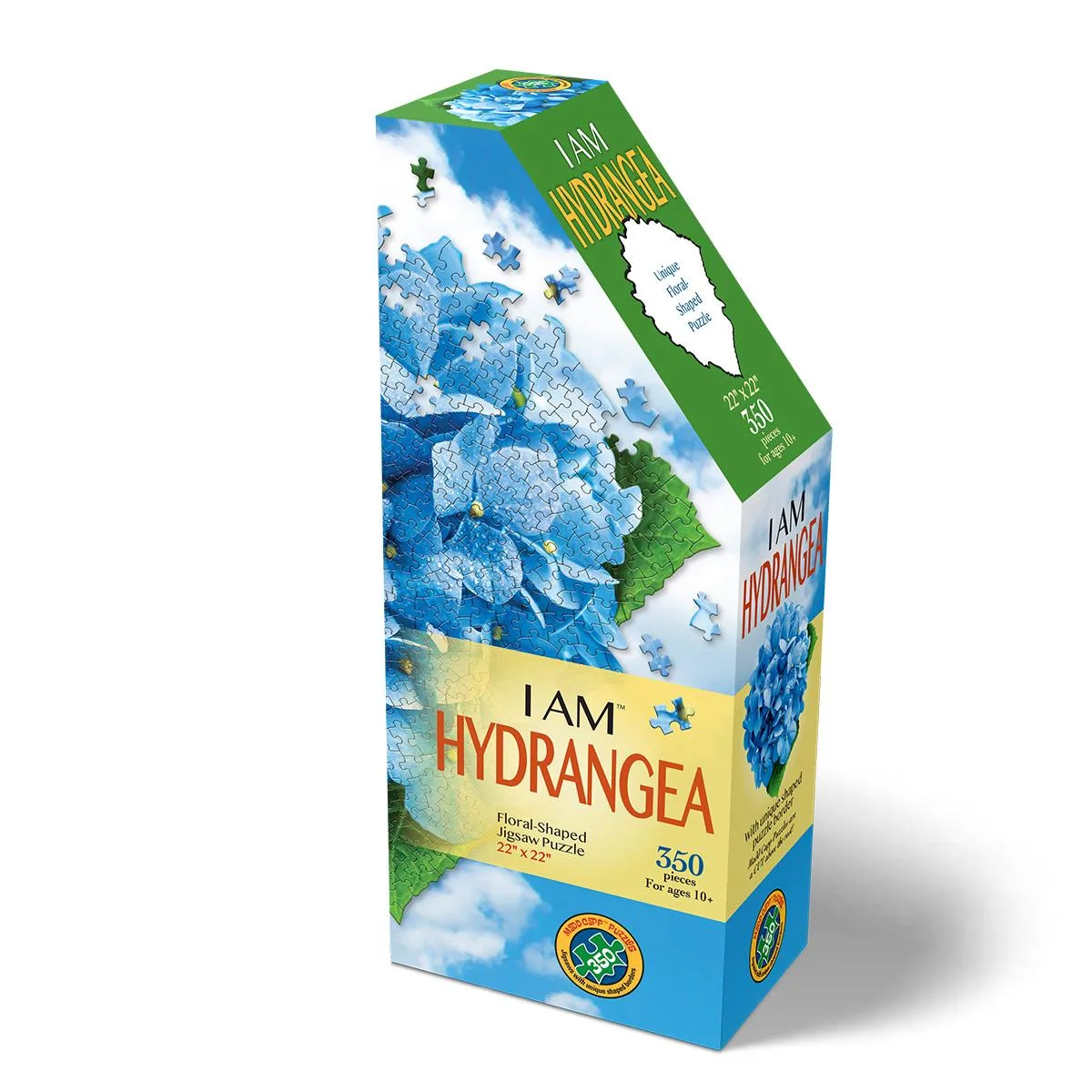 I AM HYDRANGEA