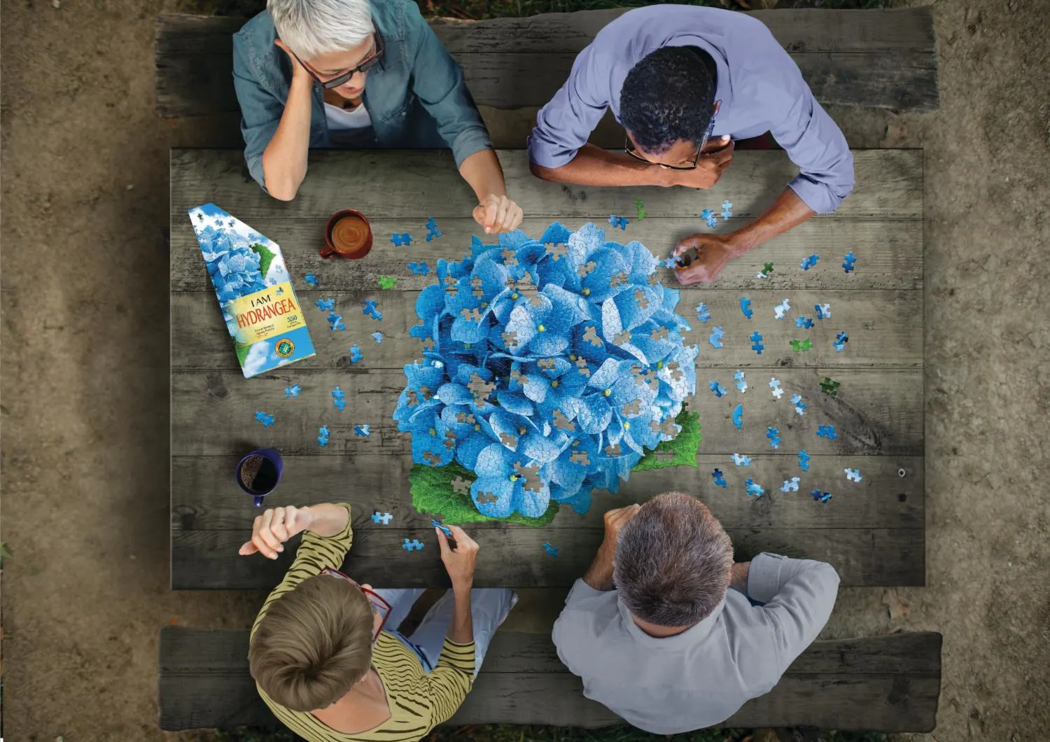 I AM HYDRANGEA