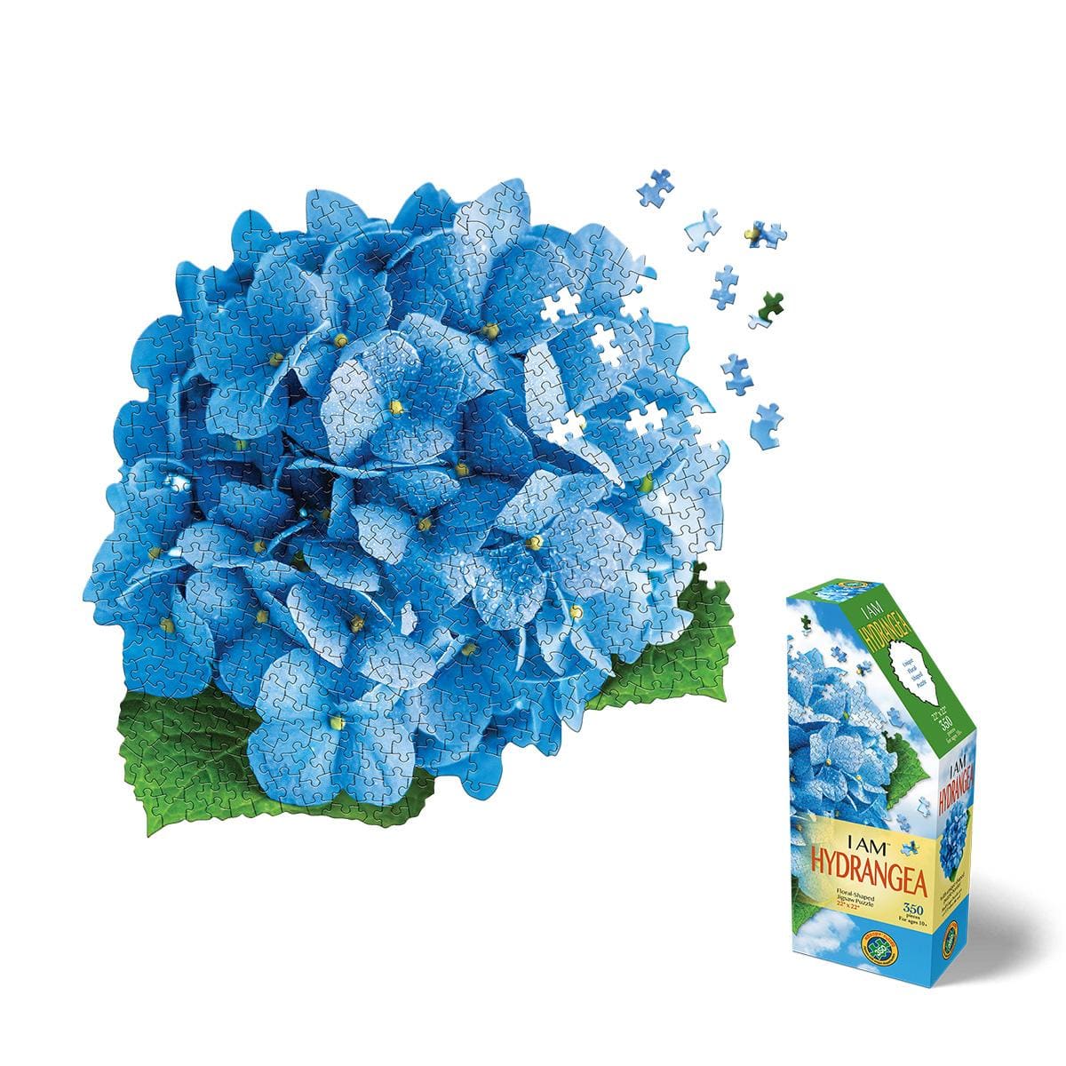 I AM HYDRANGEA