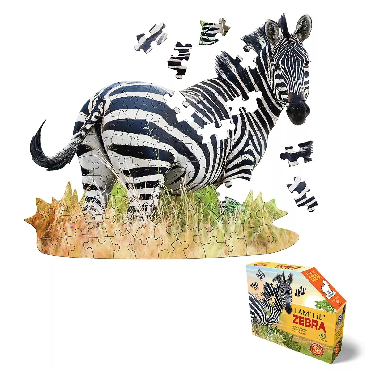 I Am Lil' Zebra Animals