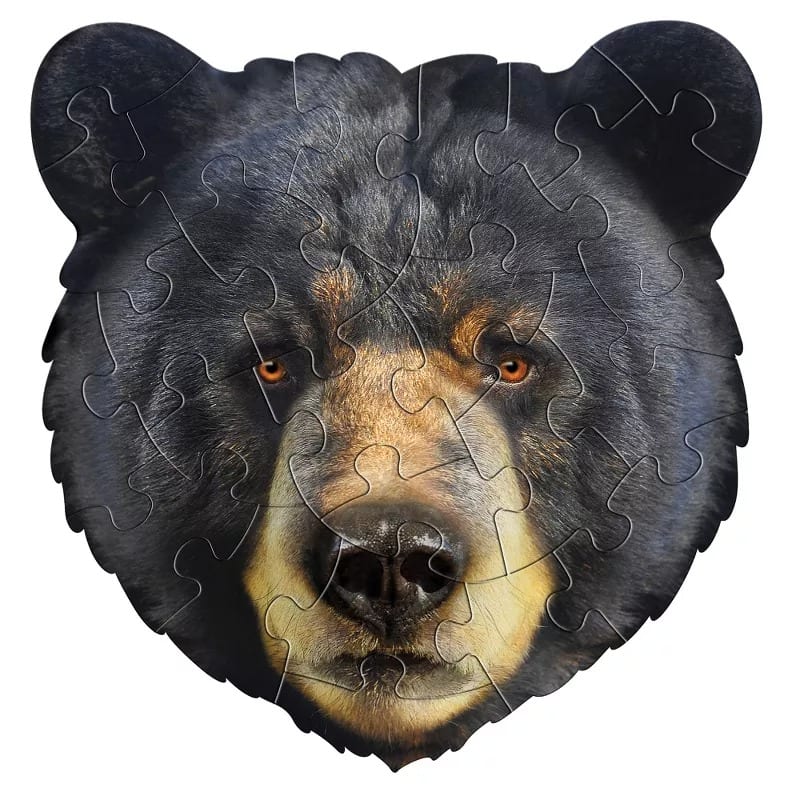 I Am Bear
