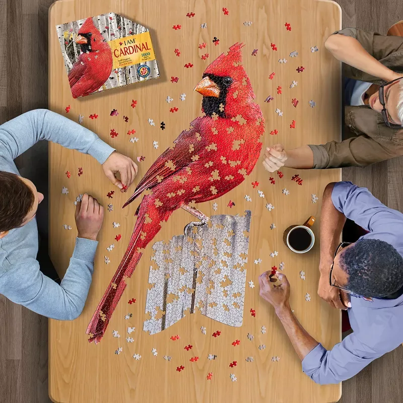 I Am Cardinal - Scratch and Dent