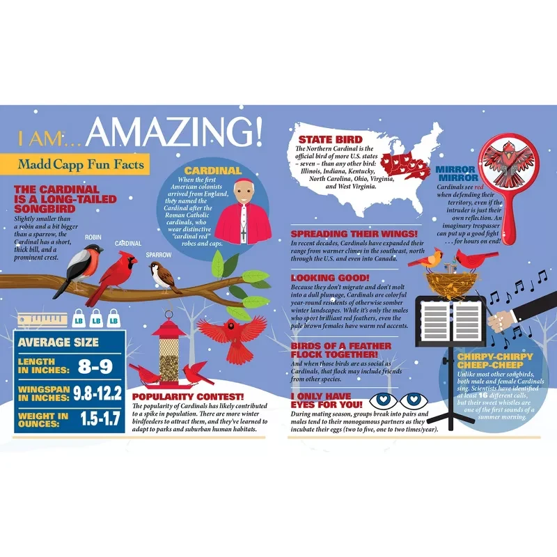 I Am Cardinal - Scratch and Dent