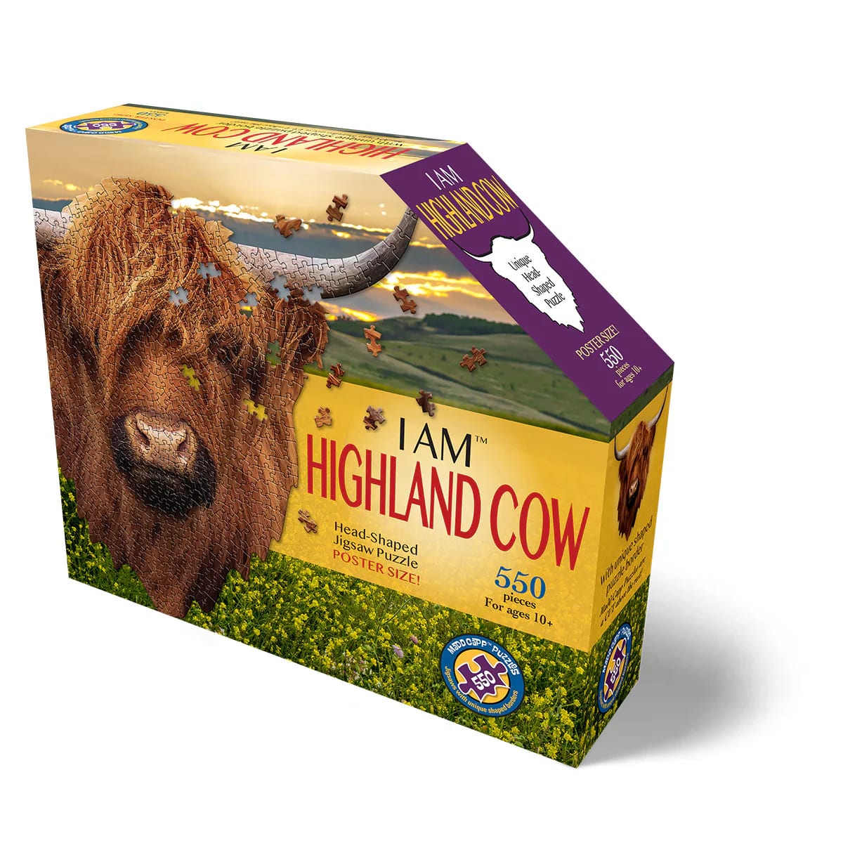 I Am Highland Cow Animals