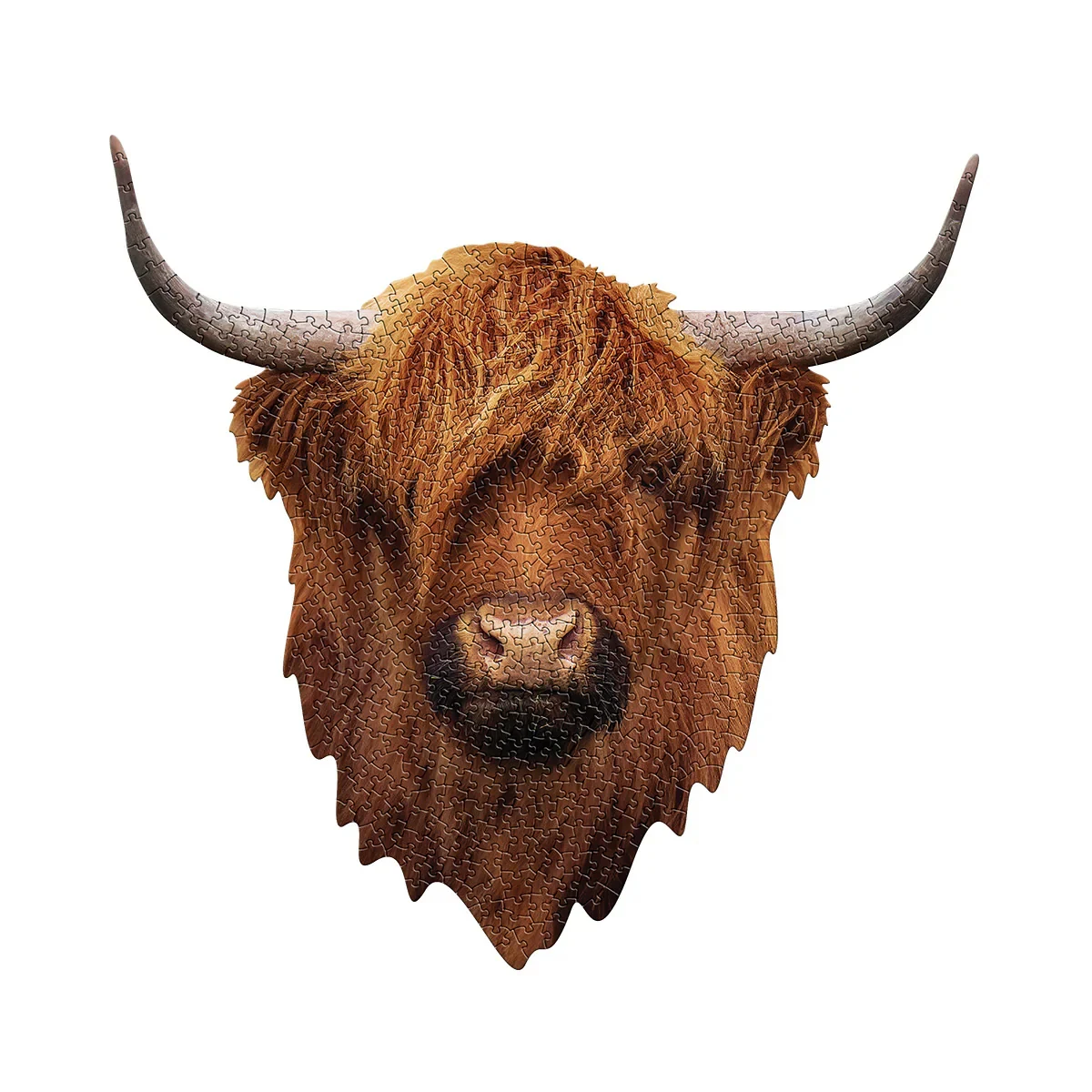 I Am Highland Cow
