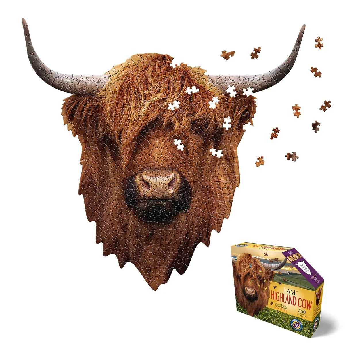 I Am Highland Cow