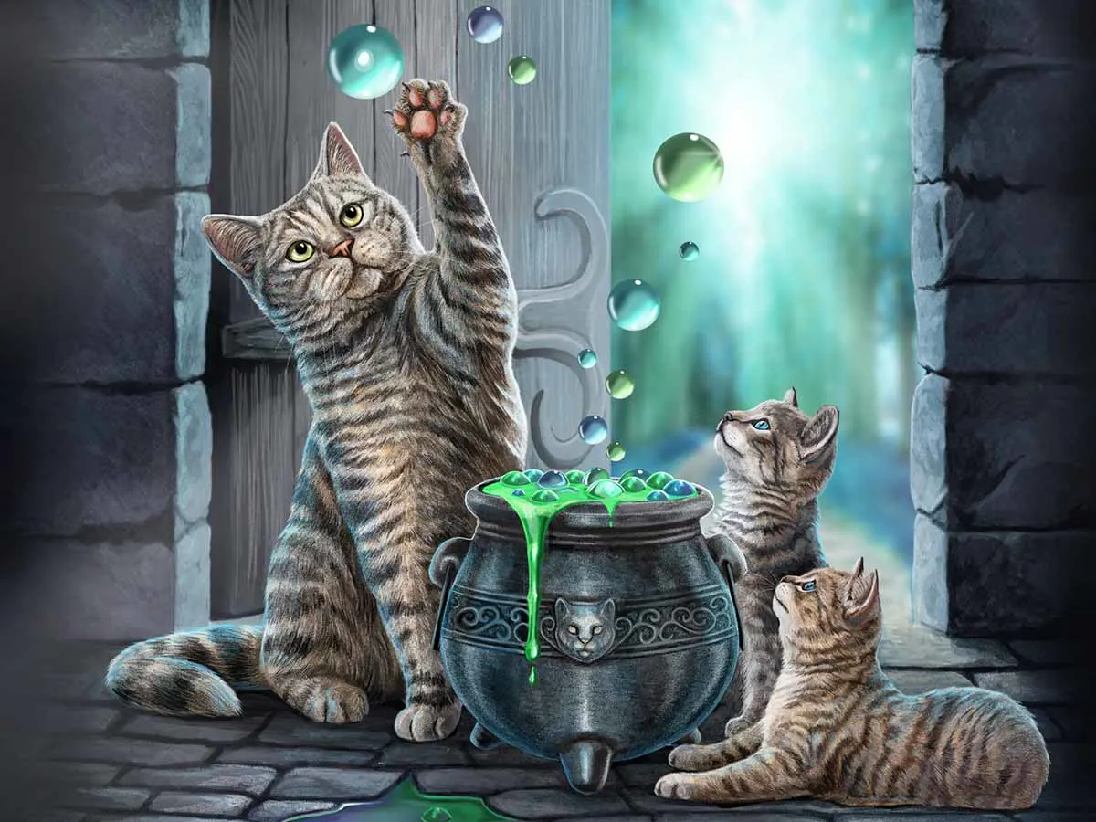 Hubble Bubble Cats