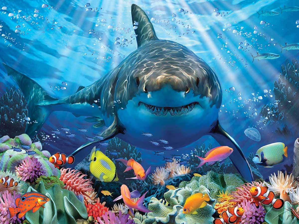Great White Shark Animals