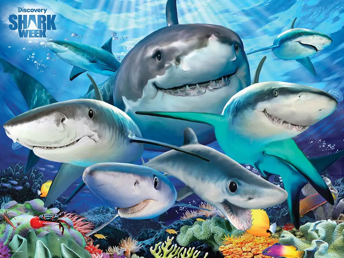 Shark Selfie - Discovery Shark Week Sea Life