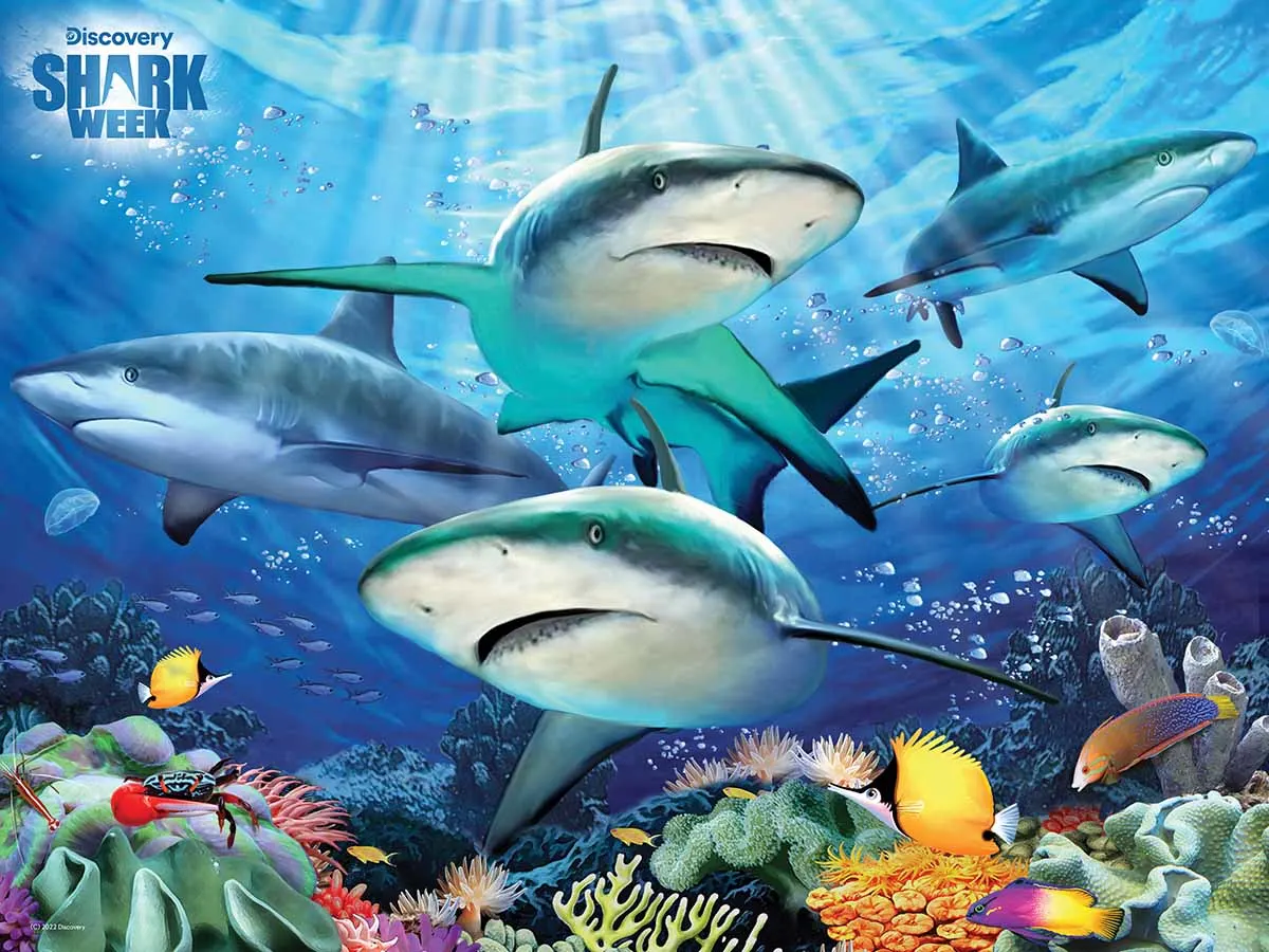 Shark Reef Shark Week - Discovery Sea Life