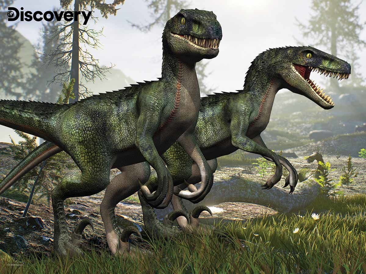 Velociraptor - Discovery Dinosaurs