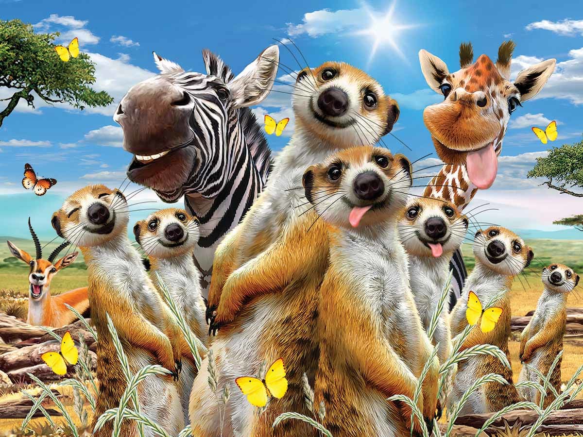 Meerkat Selfie Animals