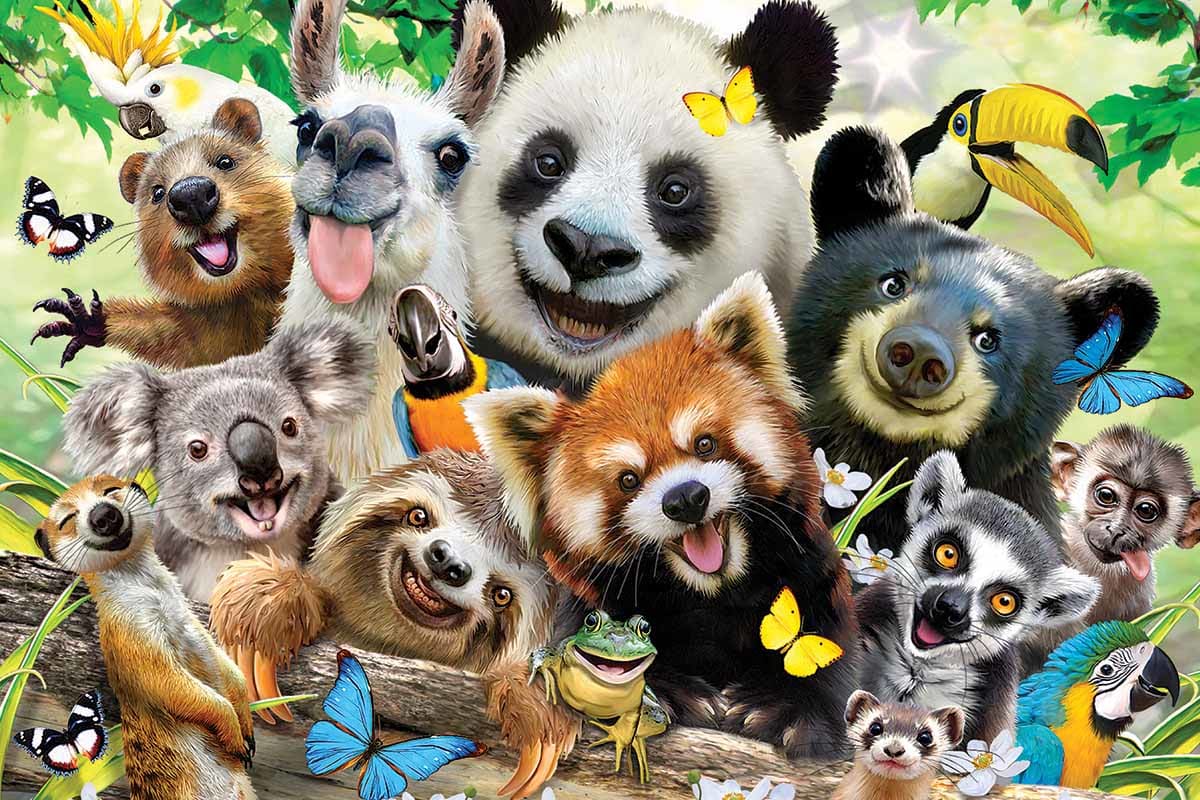 Bush Babies Selfie Animals