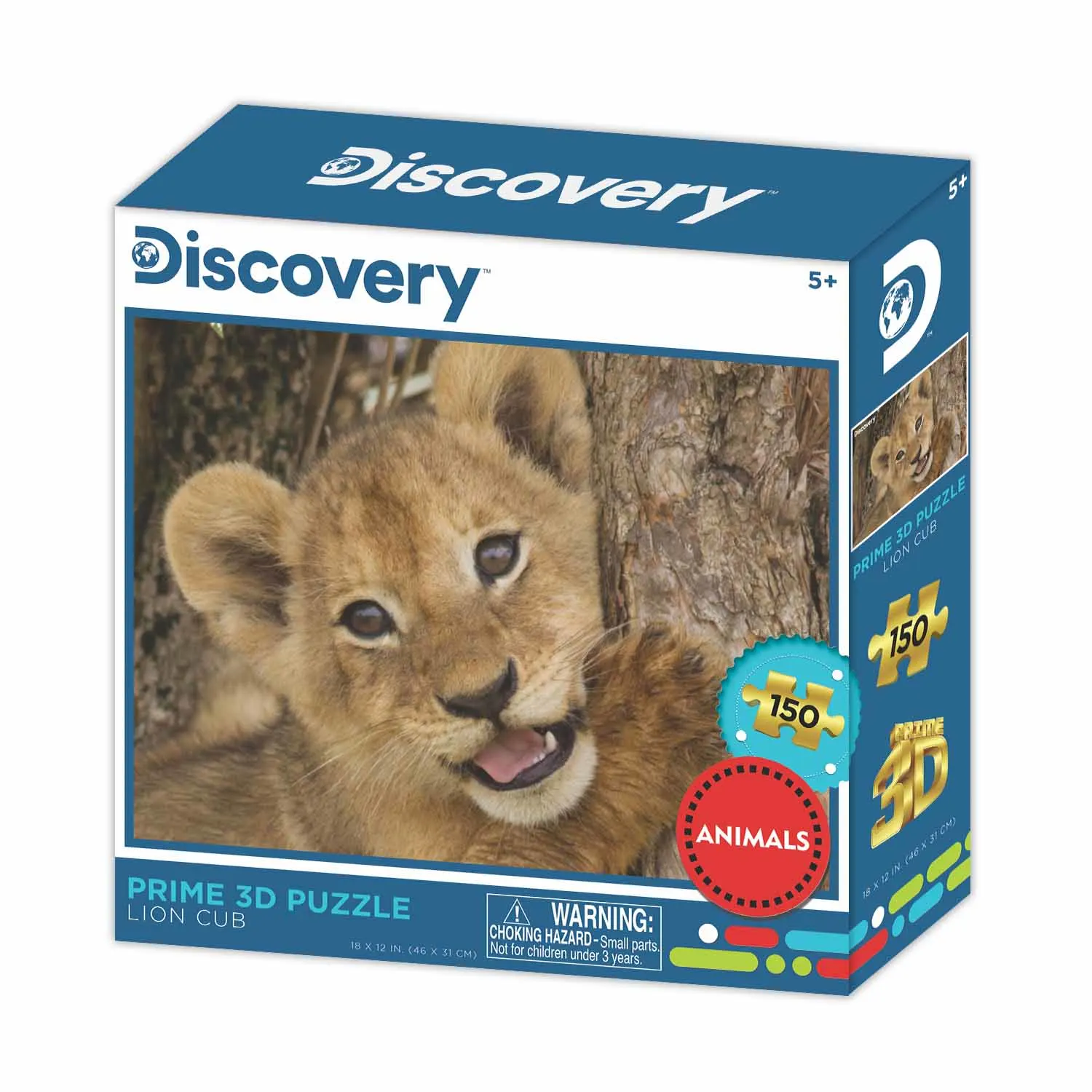 Lion Cub - Discovery