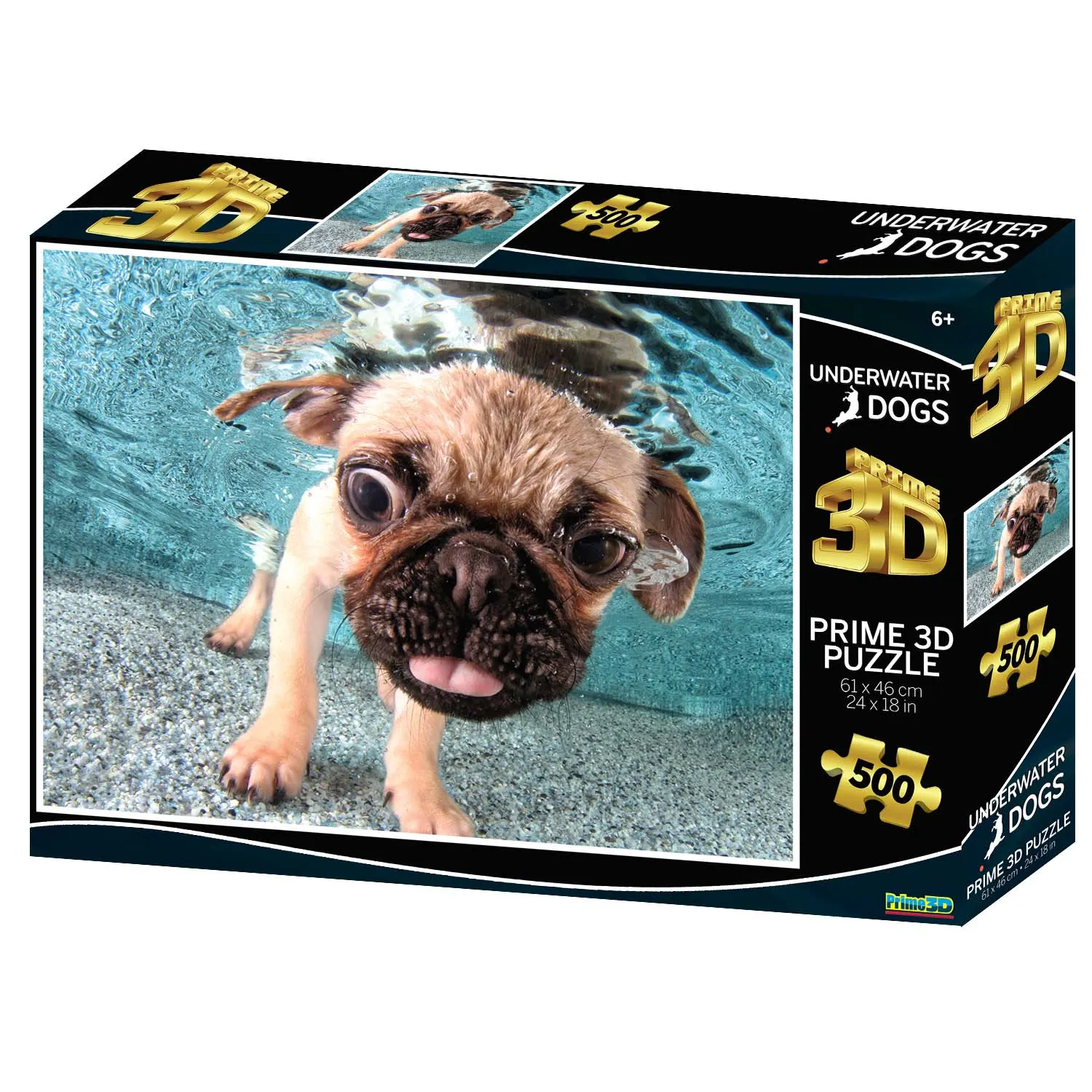 Underwater Dogs Iggy