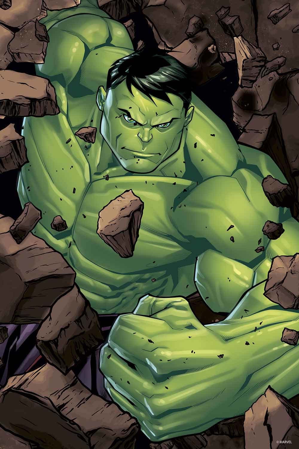 Marvel The Hulk Superheroes