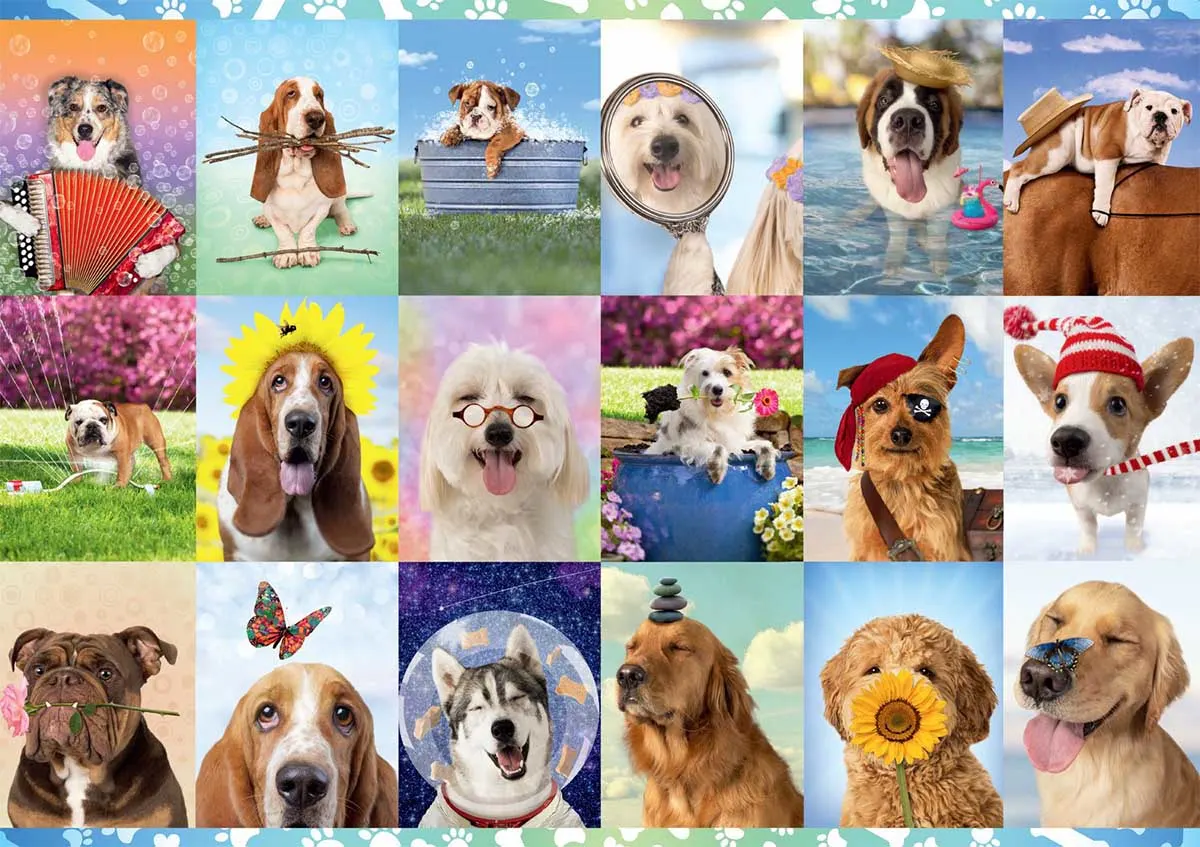 It's a Ruff Life Dogs