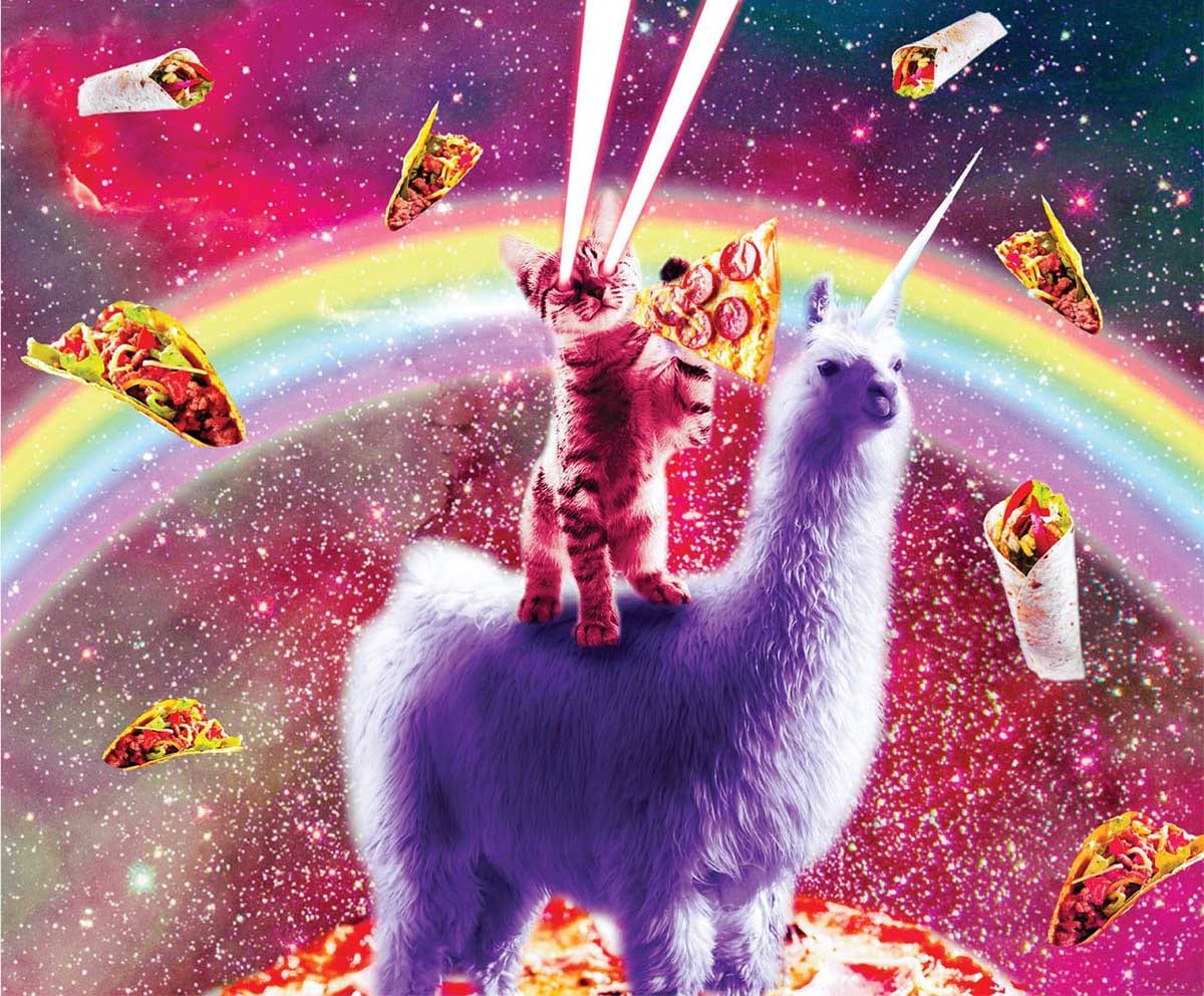 Laser Llama Kitty Cats