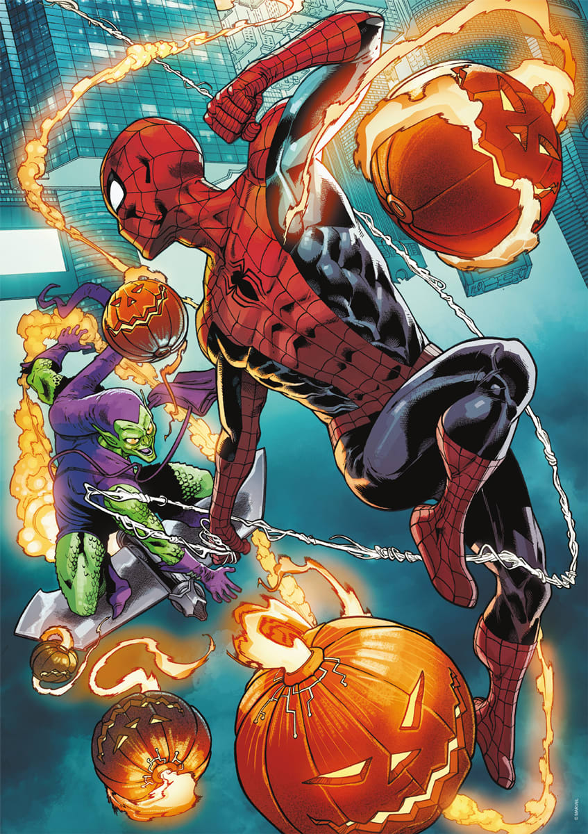 Spider-Man vs. Green Goblin - Scratch and Dent Movies & TV