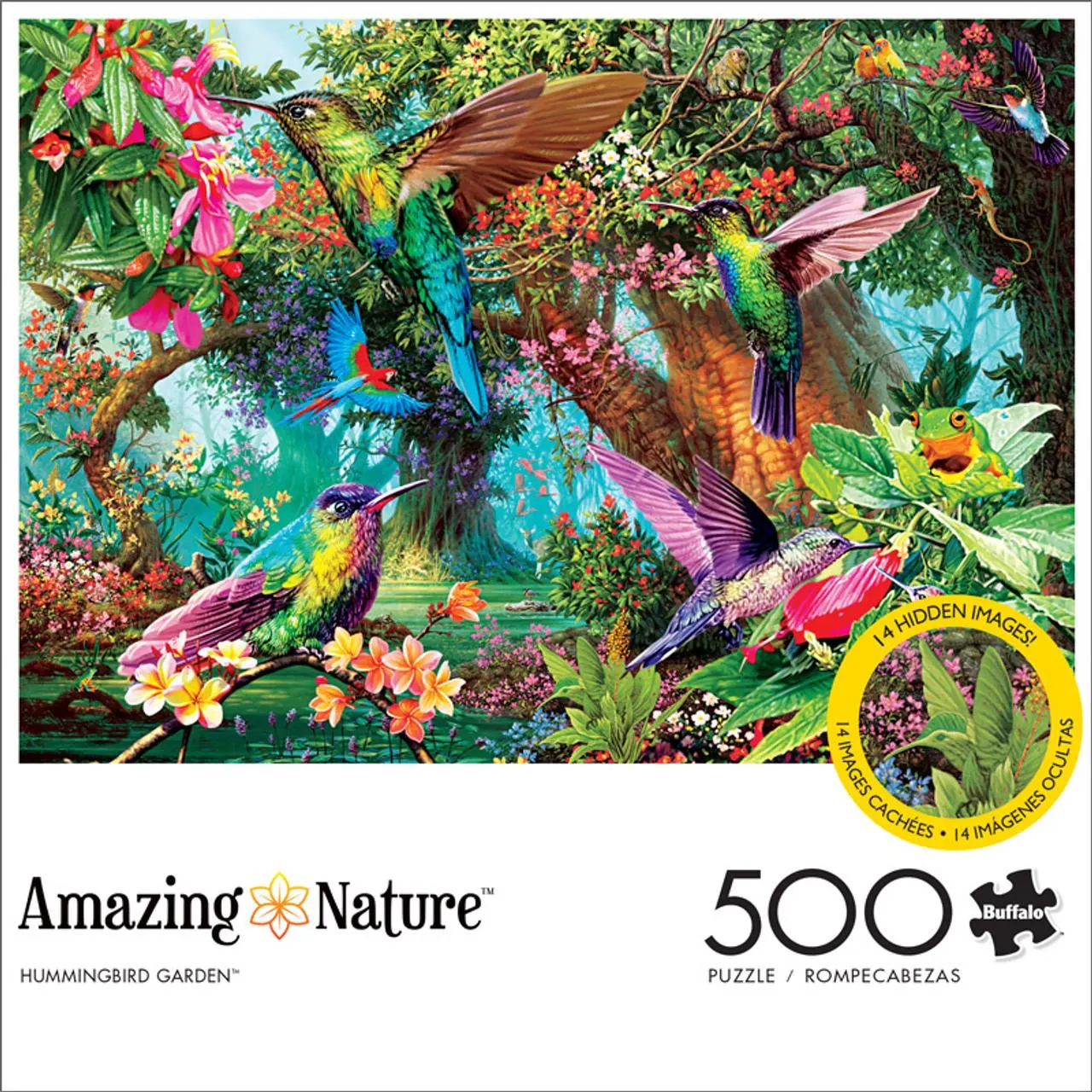 Amazing Nature: Hummingbird Garden