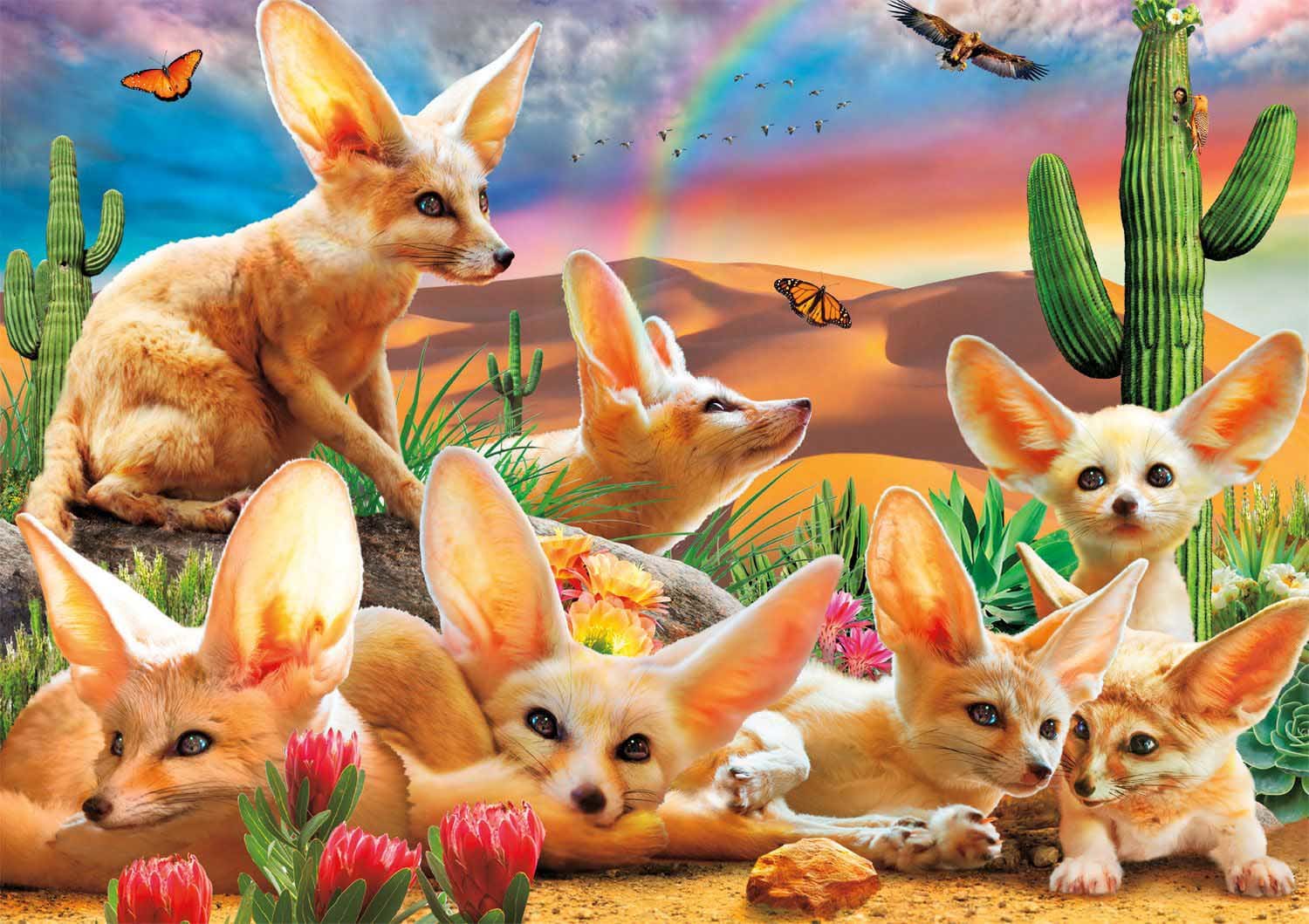 Fantastic Fennec Foxes Animals