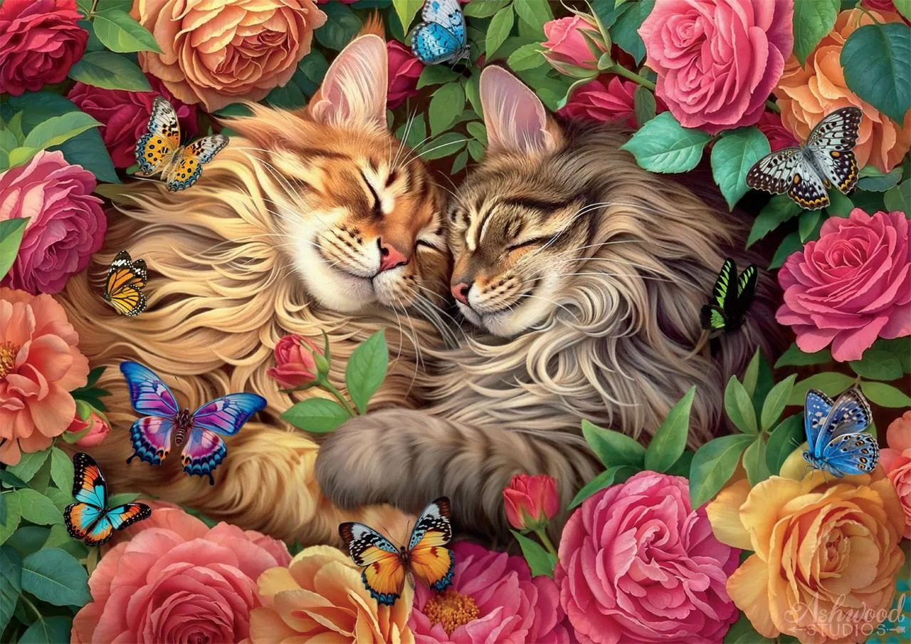 Cats in Love