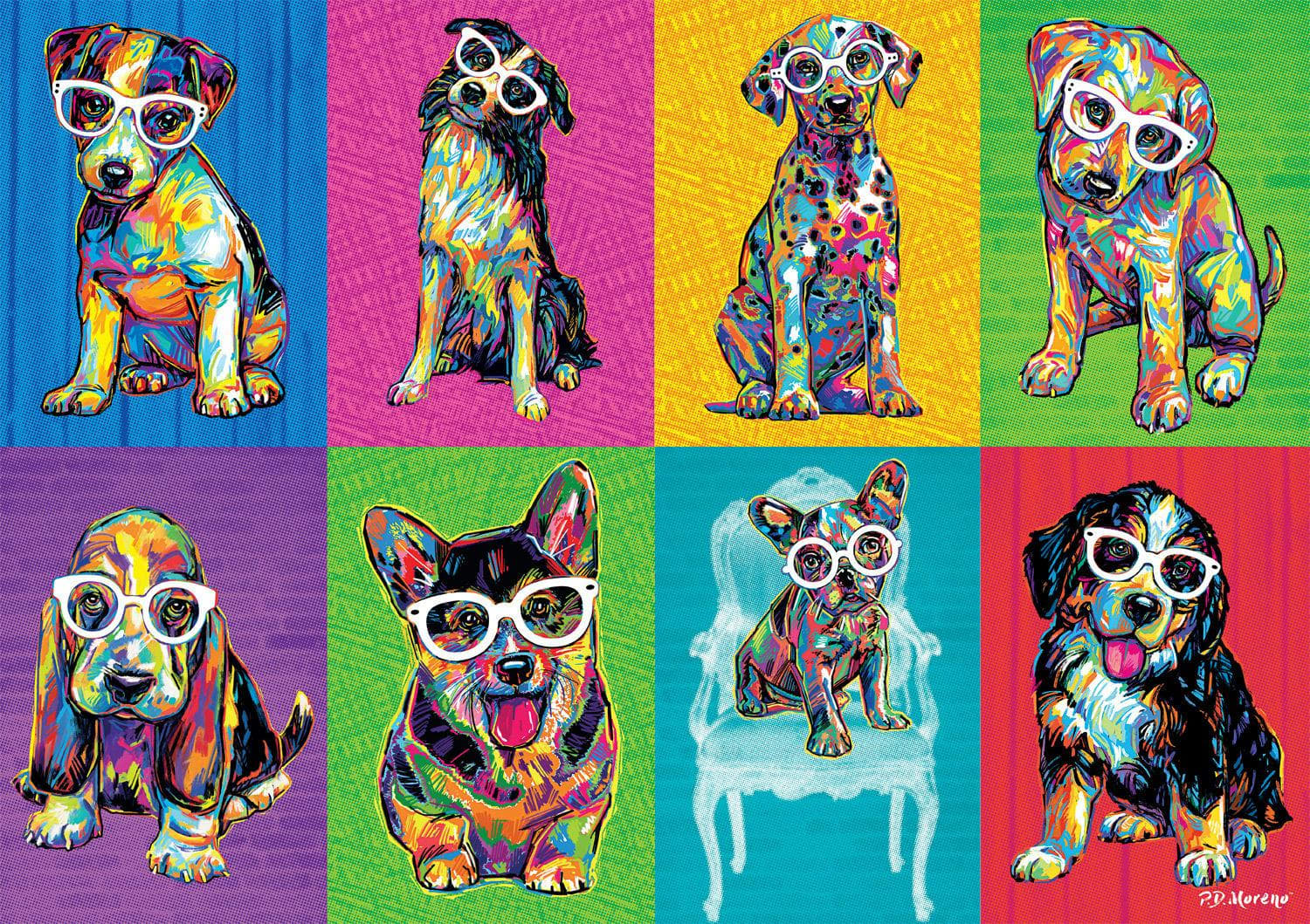 Colorblock Dogs Dogs