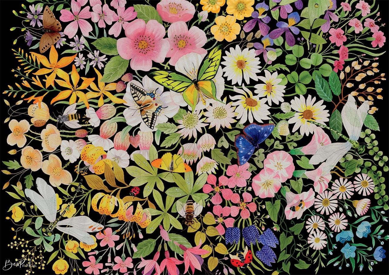 Bonjour: Night Blossoms Butterflies and Insects