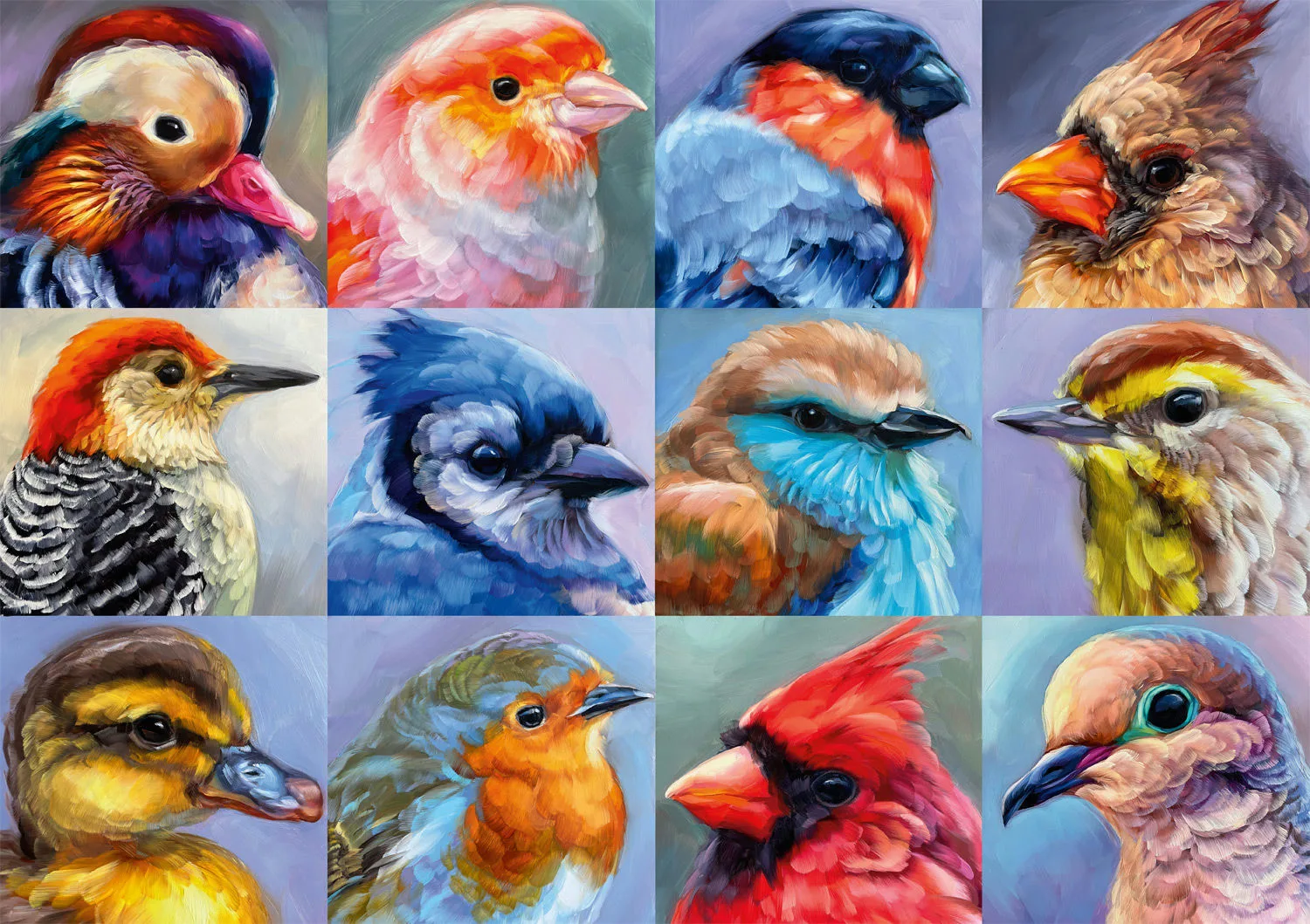 Wild Bird Collage Birds