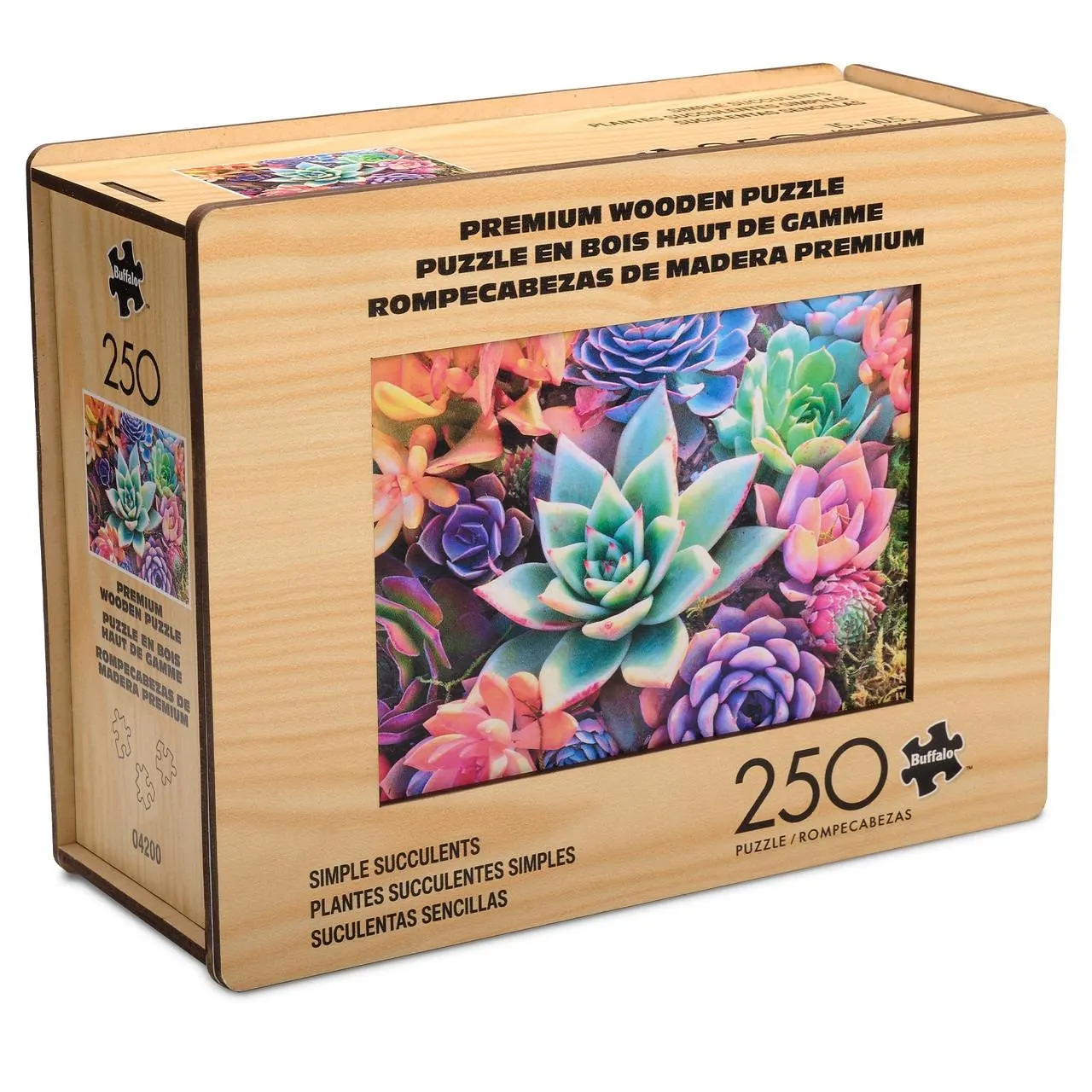 Wood Puzzle: Simple Succulent