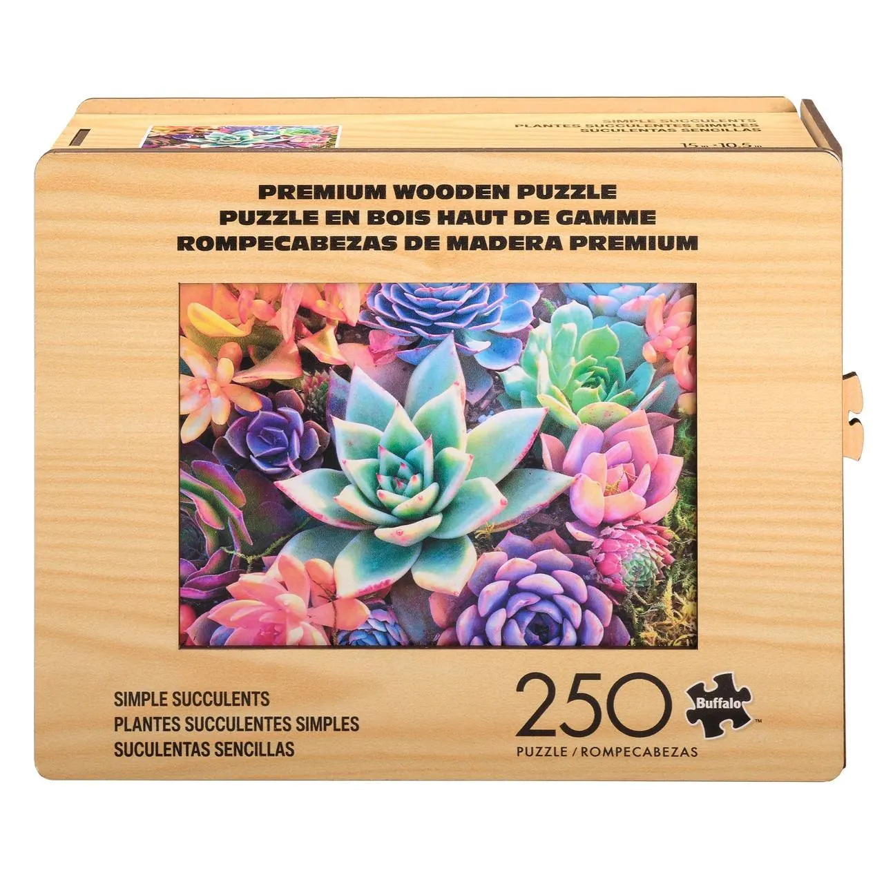 Wood Puzzle: Simple Succulent-Whimsy Pieces