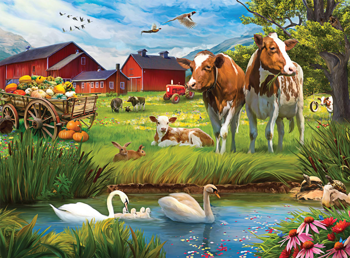 Country Life: A Day Out At The Farm Farm